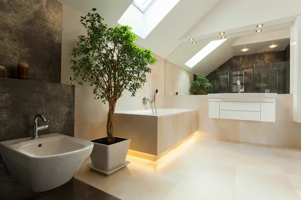 Interior of modern bathroom — Stock Photo, Image