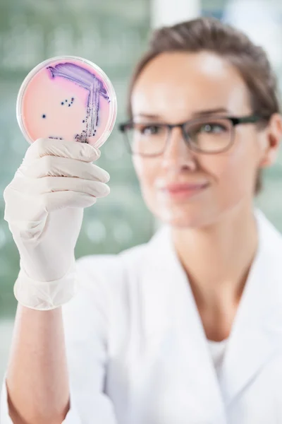 Vrouwelijke bioloog werken bij laboratorium — Stockfoto