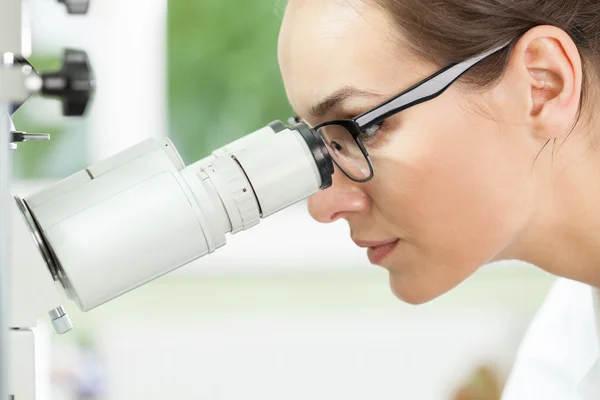 Biologist using microscope at work — Stock Photo, Image