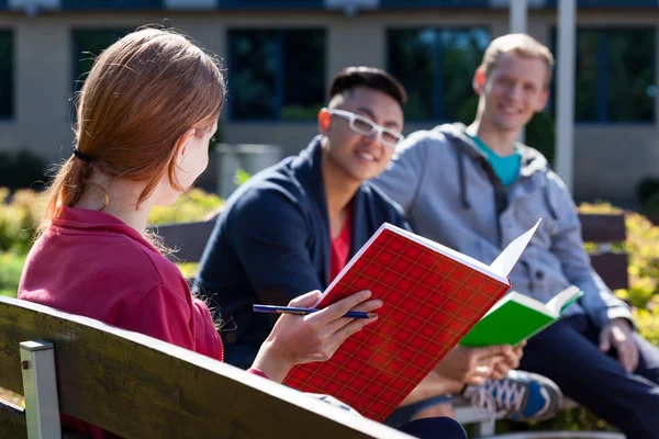 Estudiantes sonriendo a chica atractiva — Foto de Stock