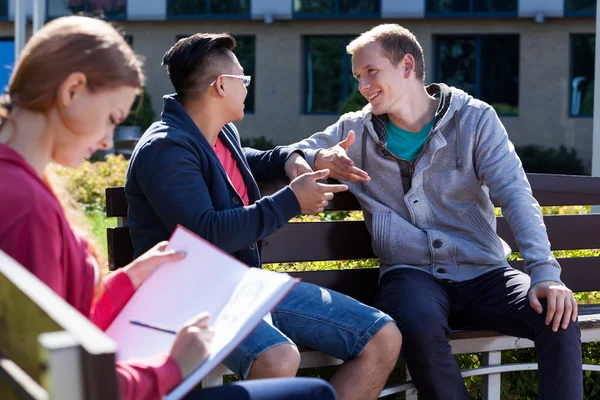 Hochschulfreunde im Gespräch — Stockfoto