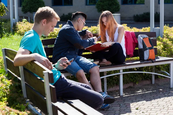 Rozmanité studenti tráví čas venku — Stock fotografie