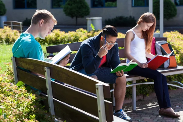 Jóvenes que estudian para el examen — Foto de Stock