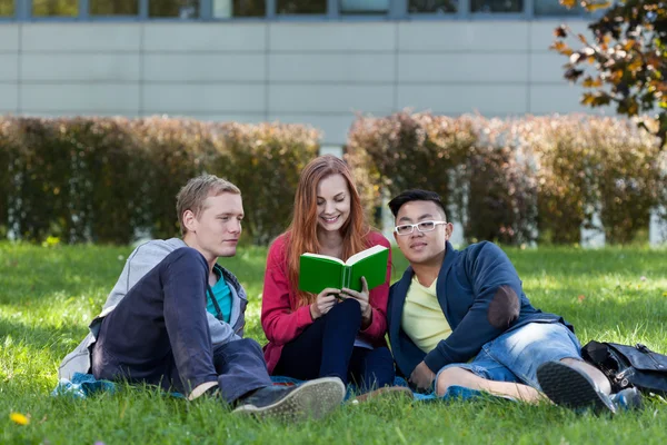 Multietniska studenter läser bok — Stockfoto