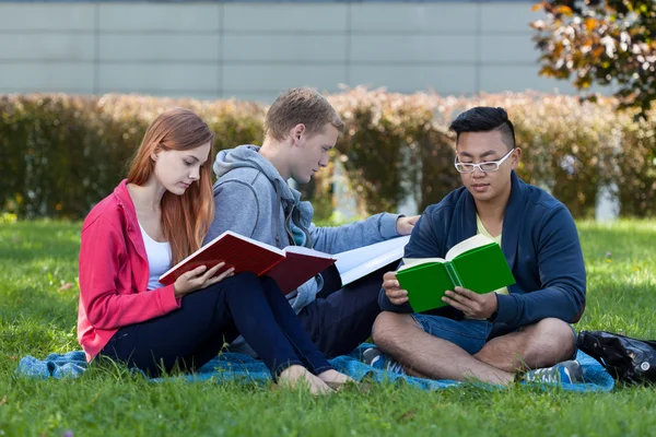 Groupe diversifié d'étudiants apprenant — Photo