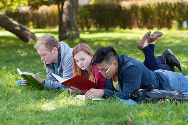 Νέοι άνθρωποι σπουδάζουν στο πάρκο — Φωτογραφία Αρχείου