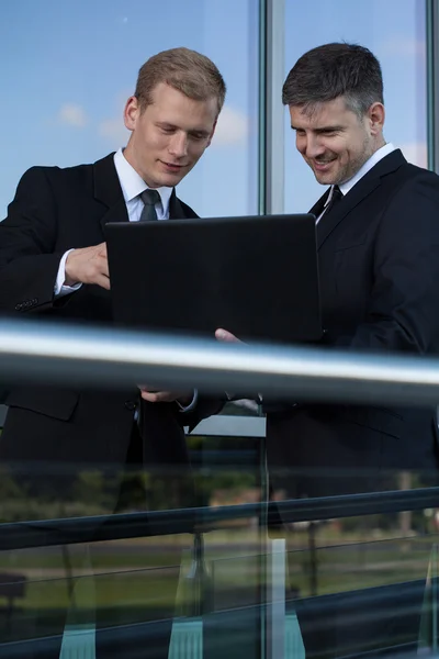 Trabajando en una computadora — Foto de Stock