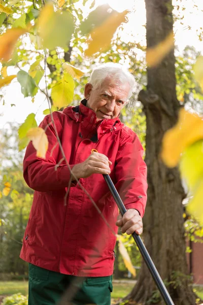 Autumn morning — Stock Photo, Image