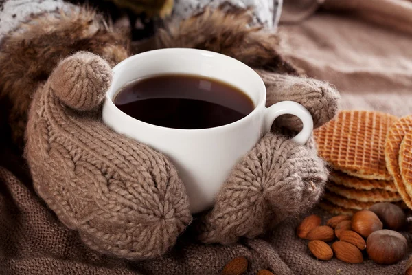 Cup of winter tea — Stock Photo, Image