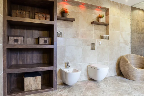 Salle de bain avec éléments à l'ancienne — Photo