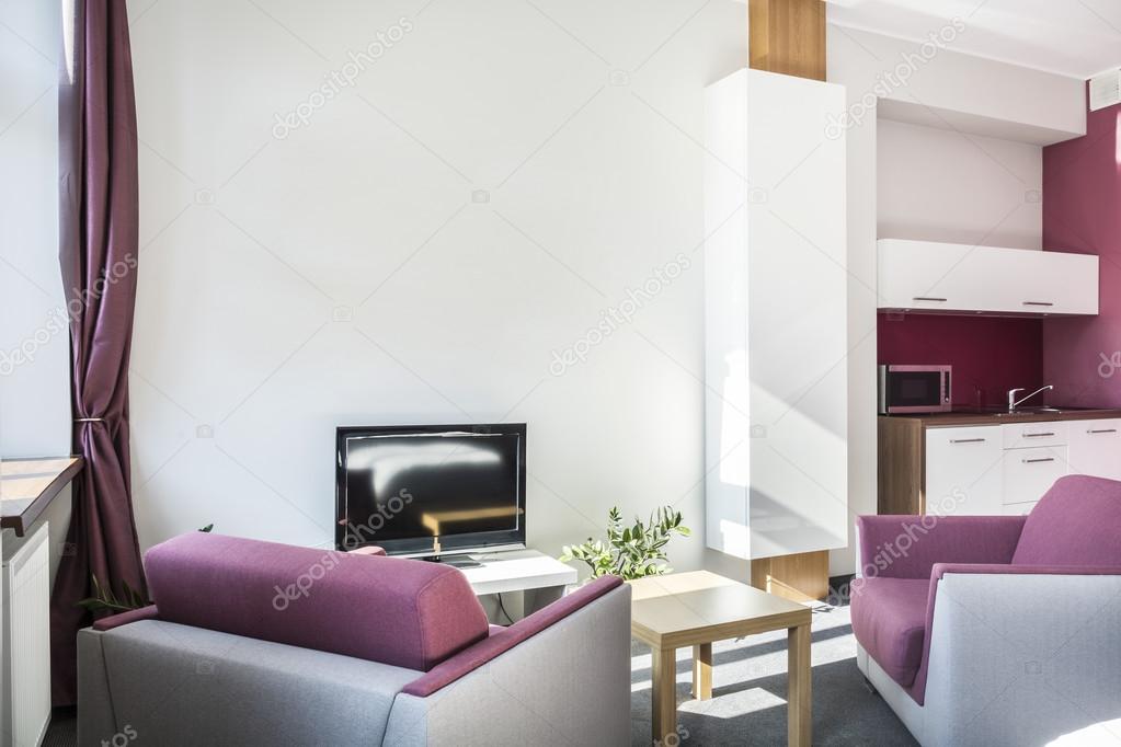 Modern studio apartment with violet details