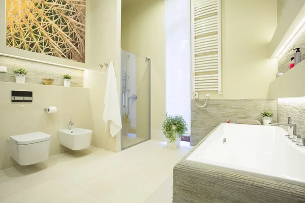 Роскошная ванная комната в пастельных тонах — стоковое фото