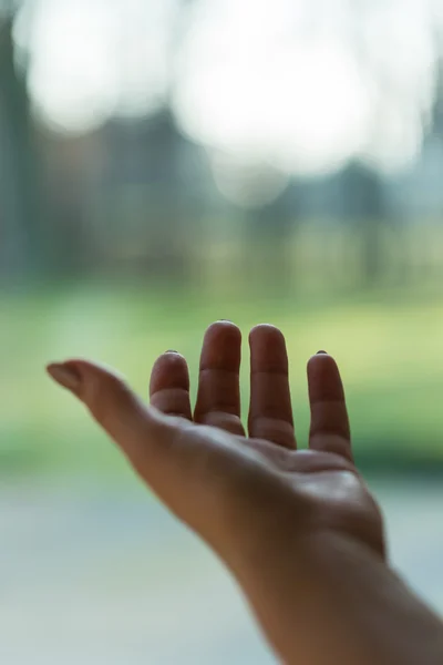 Kvinna som du beundrar naturen — Stockfoto