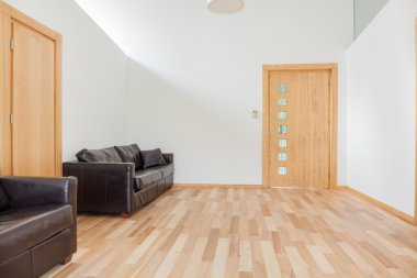 Parlak oda deri kanepe