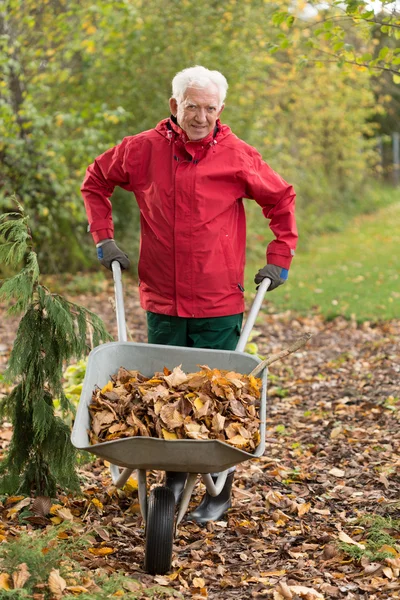 Äldre man rengöring trädgård — Stockfoto