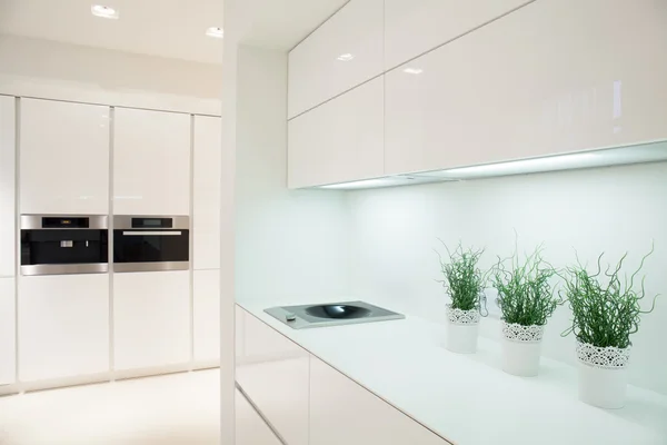 Interior de cozinha moderno e caro — Fotografia de Stock