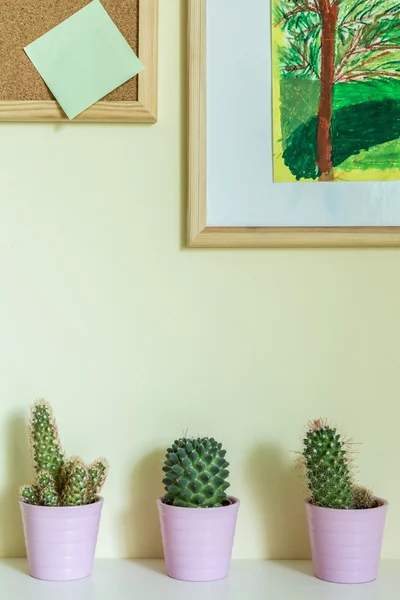 Cactos em uma soleira da porta de janela — Fotografia de Stock