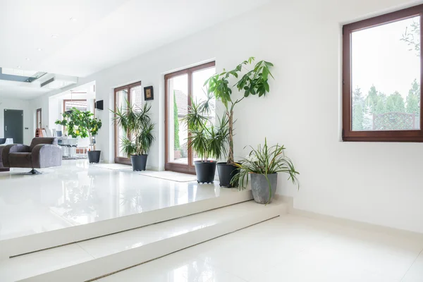 Space in expensive house — Stock Photo, Image