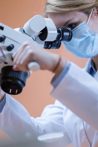 Odontologia usando microscópio dentário — Fotografia de Stock