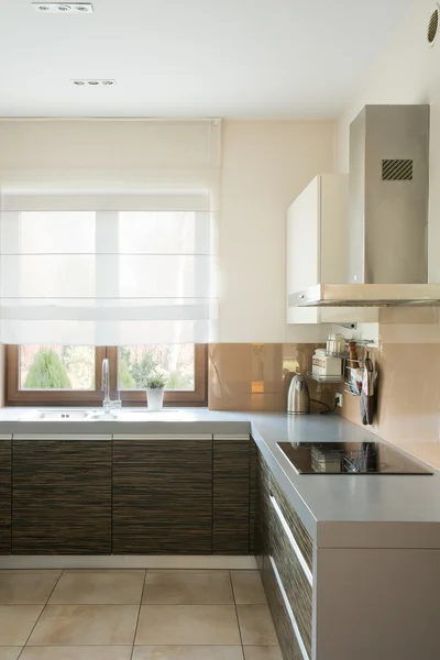Kuchyň s moderním nábytkem — Stock fotografie