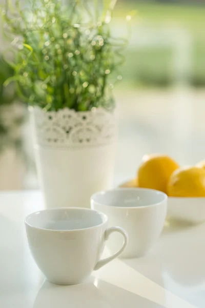 Чашки белого фарфора — стоковое фото