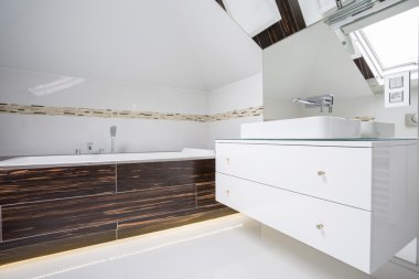 Modern banyo banyoda konut