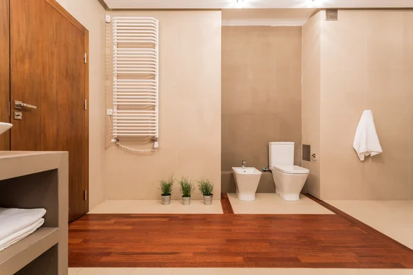Toilettes contemporaines avec éléments en bois — Photo