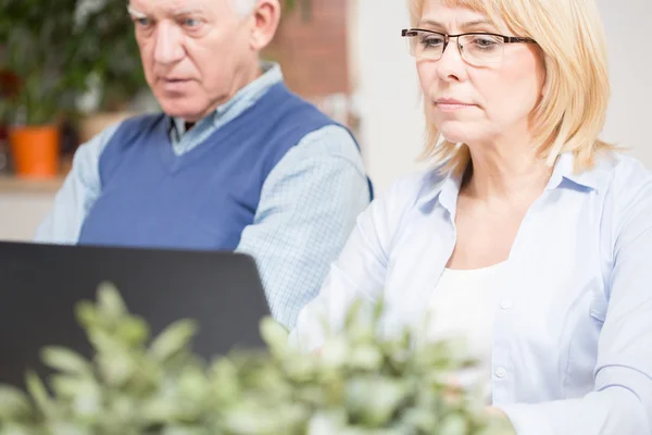 Two elderly colleagues — Stock Photo, Image