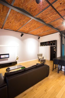 Salon tavan arasında