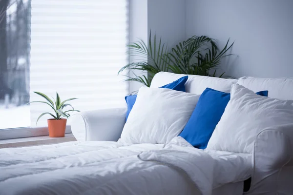Beyaz ve mavi yastıkları — Stok fotoğraf