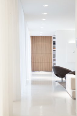 Tasarlanmış parlak misafir odası