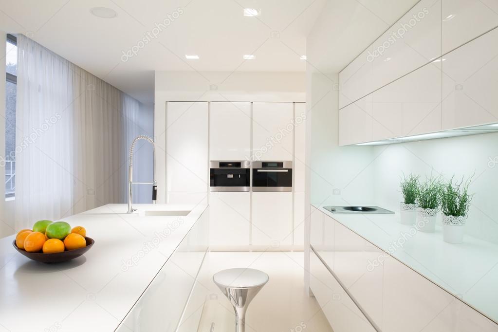 Exclusive white kitchen interior