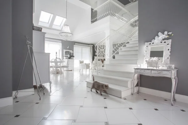 Bílé a šedé drahé interiér — Stock fotografie