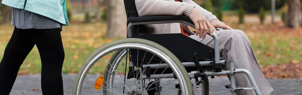 Lady on wheelchair in park — Stock Photo, Image