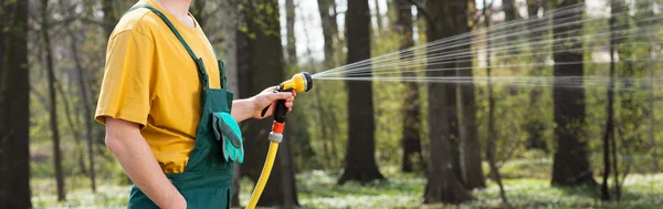 Rasen mit Gartenschlauch gießen — Stockfoto