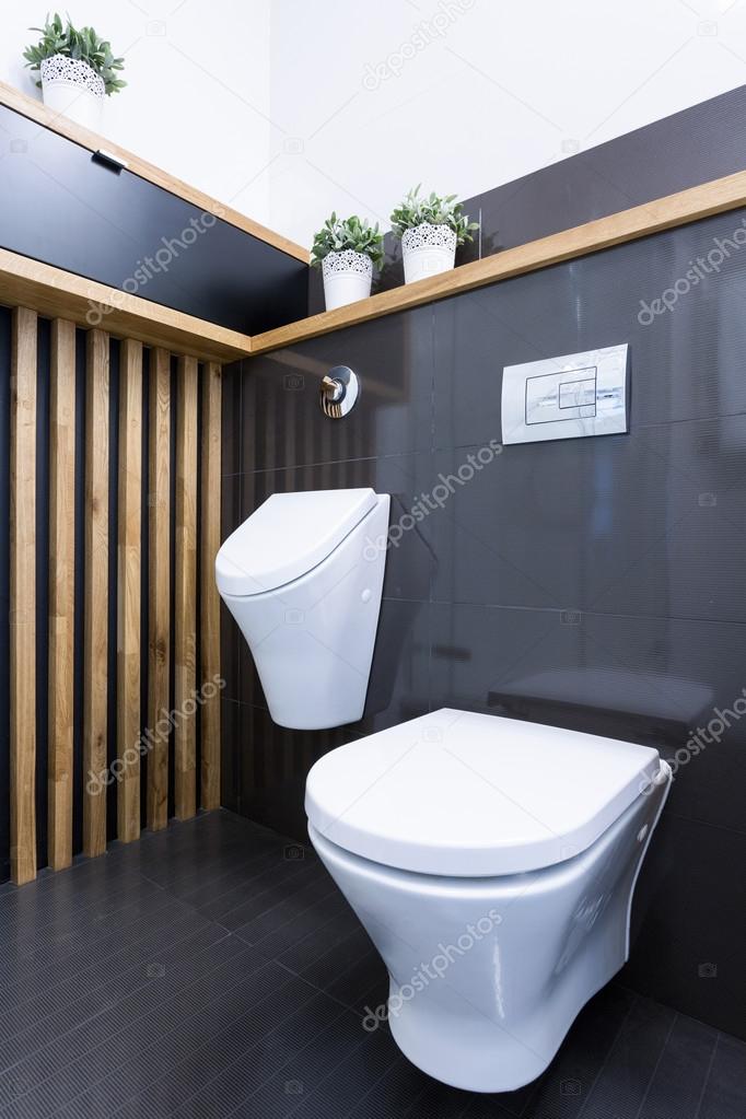 Beauty luxury toilet interior