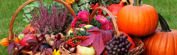 Queda de frutas e legumes — Fotografia de Stock