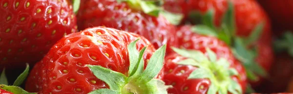 Saftige rote Erdbeeren — Stockfoto