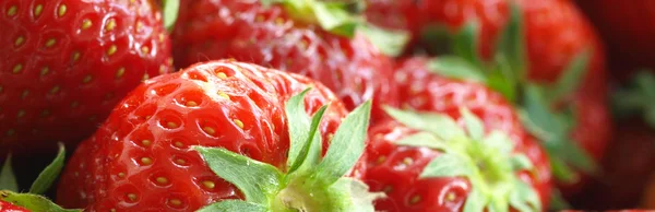 Fragole rosse succose — Foto Stock