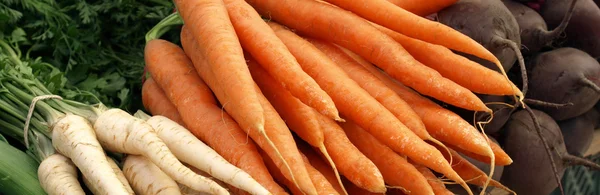 Verduras jóvenes de primavera —  Fotos de Stock