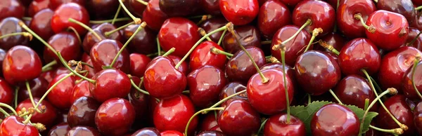 Juicy ripe cherries — Stock Photo, Image