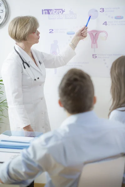 Gynecologist explaining in vitro process — Stock Photo, Image
