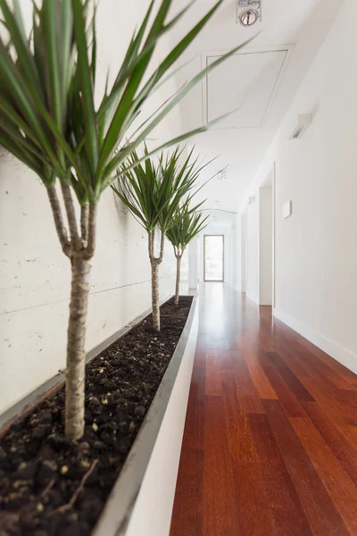 Couloir blanc dans la maison — Photo