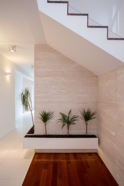 Güzellik bitkiler parlak koridorda