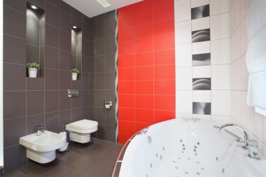 Tüp ile büyük banyo