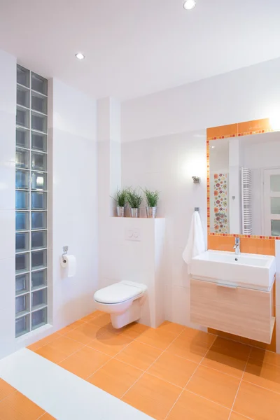 Красочный дизайн ванной комнаты — стоковое фото
