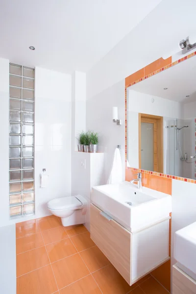 Badezimmer mit Spiegel — Stockfoto