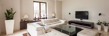 Modern ve zarif salon