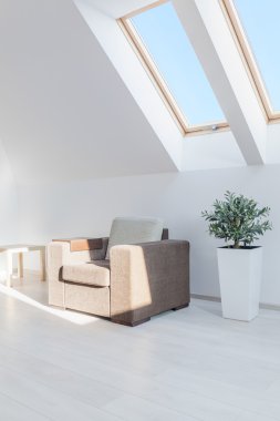 Güneşli odada sandalye