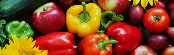 Close-up of autumn harvest — Stock Photo, Image